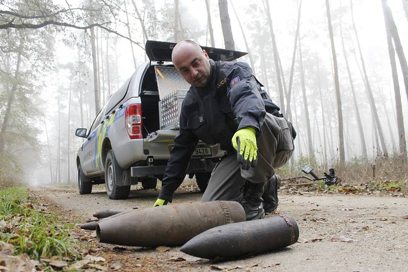 V Bořím lese začalo čištění padesáti hektarů zamořených válečnou municí.