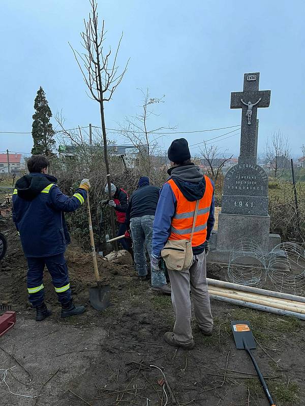 Výsadba stromů v obcích zasažených tornádem.