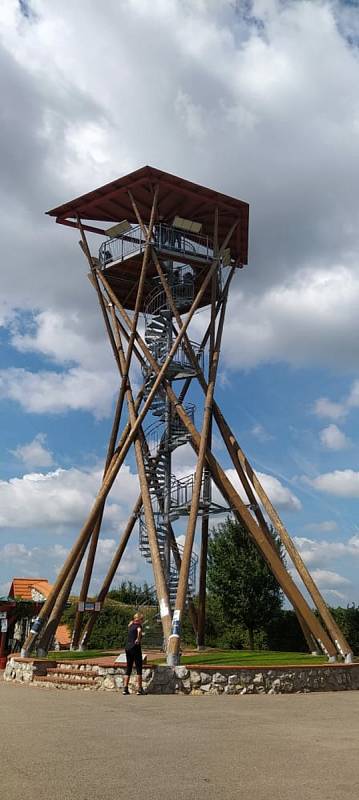 Z vycházky za růžemi, vínem a rozhledem ve Velkých Pavlovicích.