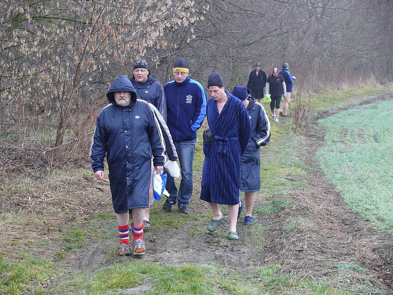 Do ledové Dyje se ponořilo u Pohanska přes osmdesát plavců.