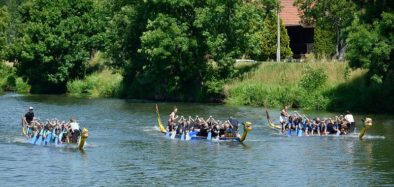 Dyji v Břeclavi čeřily už po třinácté dračí lodi při tradiční soutěži firemních a přátelských týmů Břeclavský drak.