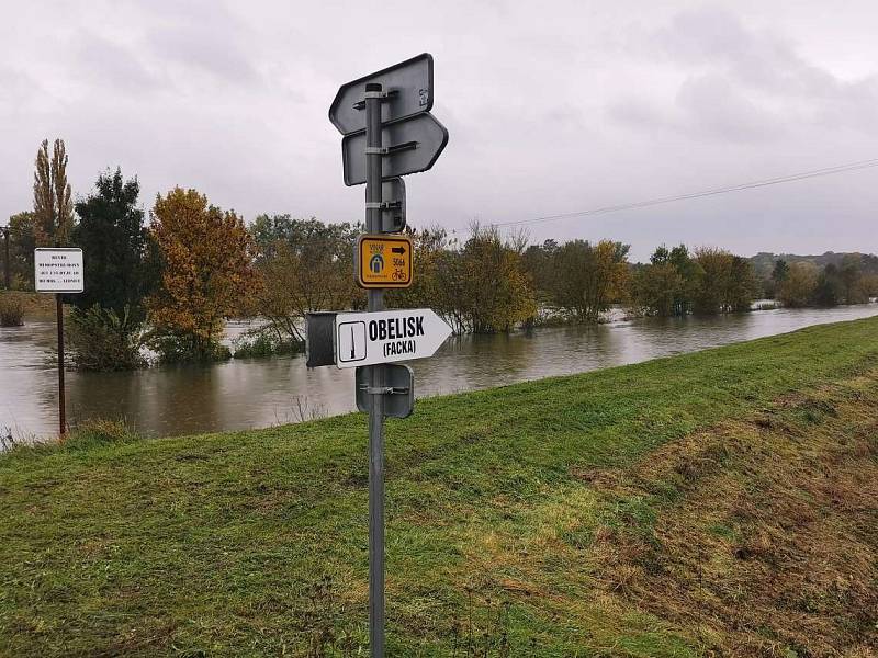 Rozlitá Dyje mezi Podivínem a Lednicí .