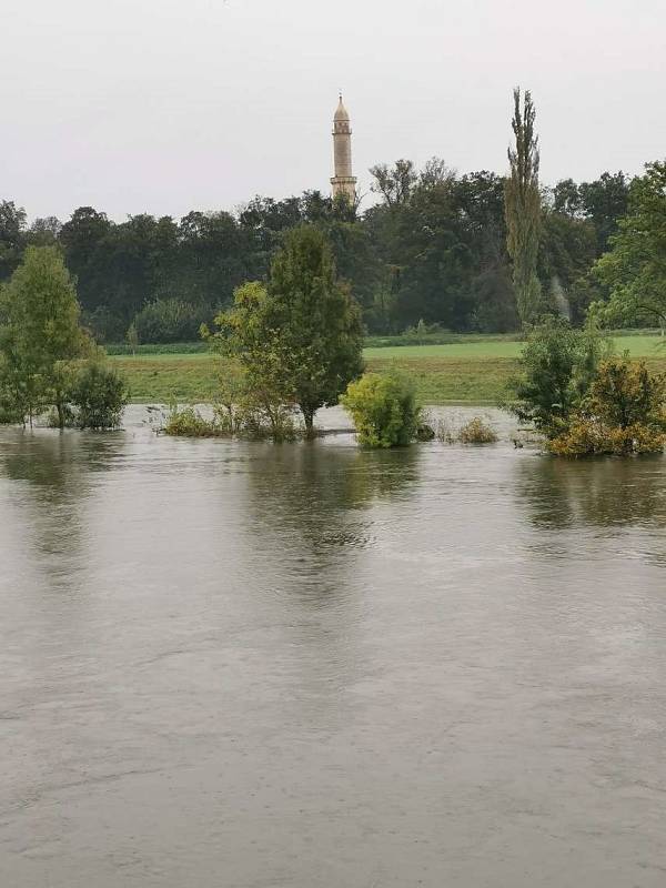 Rozlitá Dyje mezi Podivínem a Lednicí .