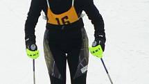 Víkend byl v Němčičkách ve znamení lyžařských závodů. V sobotu okresního přeboru ve slalomu, v neděli se jelo pro změnu finále krajského lyžařského poháru.