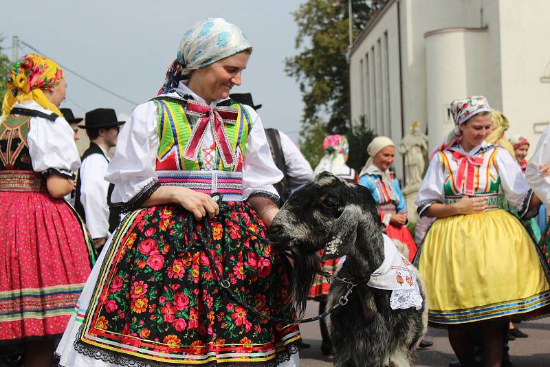 V Jevišovce oslavili tradiční chorvatské hody. S kozlem