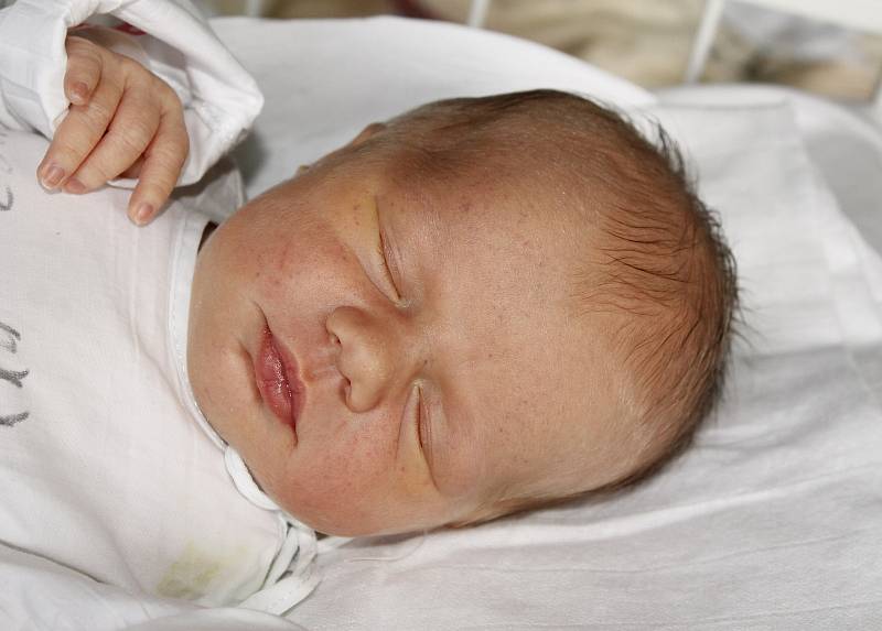 Kateřina Sedláčková, 13.2.2016, Hustopeče, 50 cm, 3,4 kg