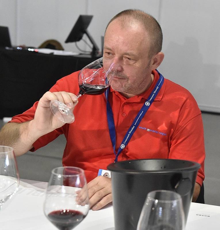 Bývalý ředitel Národního vinařského centra ve Valticích Pavel Krška.