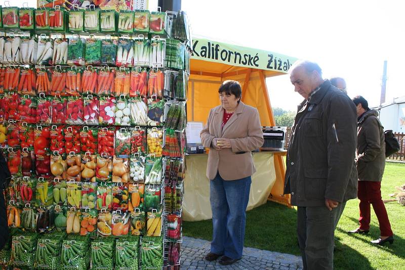 Do třídenní zemědělské výstavy Dary jižní Moravy se zapojily všechny zemědělské, vinařské a chovatelské spolky z Velkých Pavlovic. Obnovily tam tradici. 