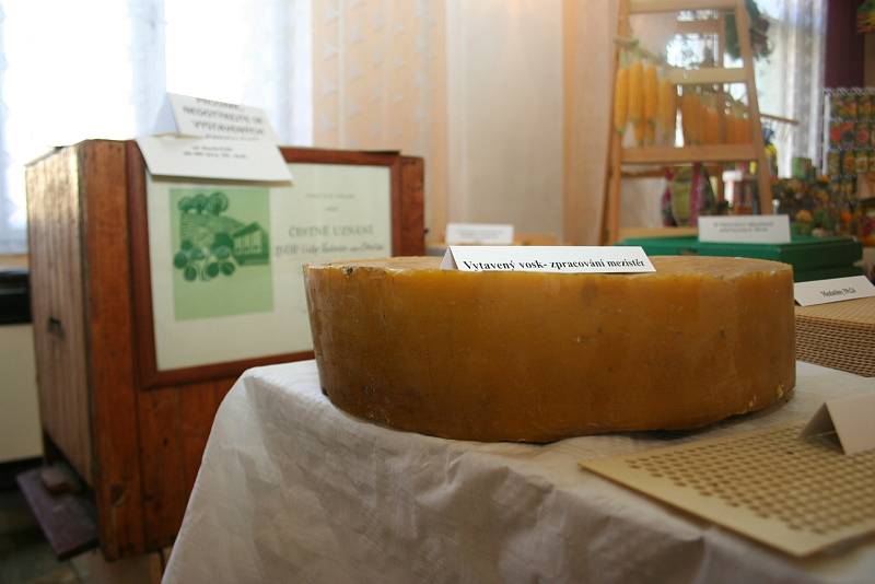 Do třídenní zemědělské výstavy Dary jižní Moravy se zapojily všechny zemědělské, vinařské a chovatelské spolky z Velkých Pavlovic. Obnovily tam tradici. 