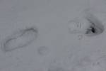 Město Břeclav zasypala několikacenti­metrová sněhová pokrývka. Lidé měli s odhrnováním sněhu hodně práce.
