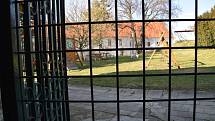 Redakce Deníku Rovnost měla možnost nahlédnout ještě před rekonstrukcí do útrob zchátralého zámku ve Velkých Němčicích.