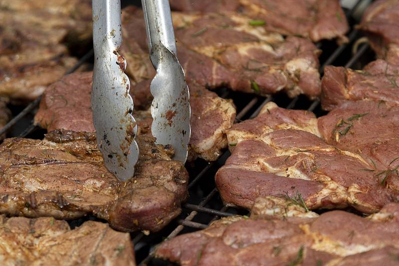 Tradiční festival Národů Podyjí ukazuje již přes dvacet let pestrost pohraničního kraje, ale i celé Moravy.