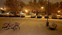 Břeclavsko pod sněhem.