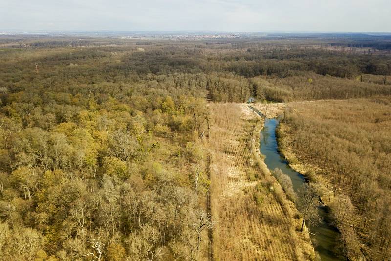 Oblast soutoku řek Moravy a Dyje bývá označována jako Moravská Amazonie.