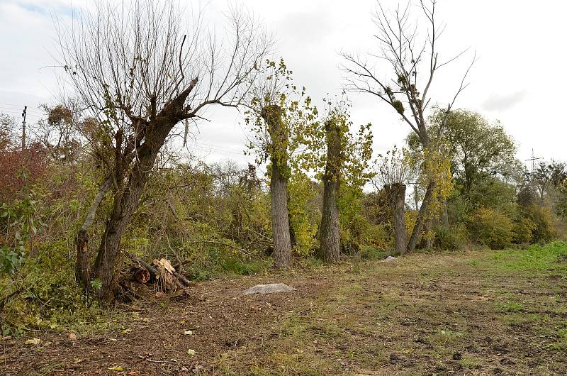 Červená studánka láká k návštěvě. Ochránci upravili u Lednice okolí prameniště.