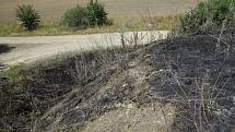 Kolem železnice z Brna na Břeclav hořela v pátek tráva a polní porost. Hasiči likvidovali několik ohnisek na úseku asi dvaceti kilometrů od Holasic na Brněnsku po Šakvice na Břeclavsku. Škody jsou odhadovány v desítkách tisíc korun.