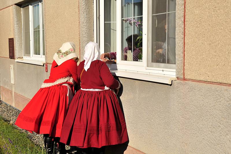 Obec pod Pálavou Perná na Břeclavsku ožila v sobotu Martinskými babskými hody. Dědinu pobavila třicítka žen v krojích.
