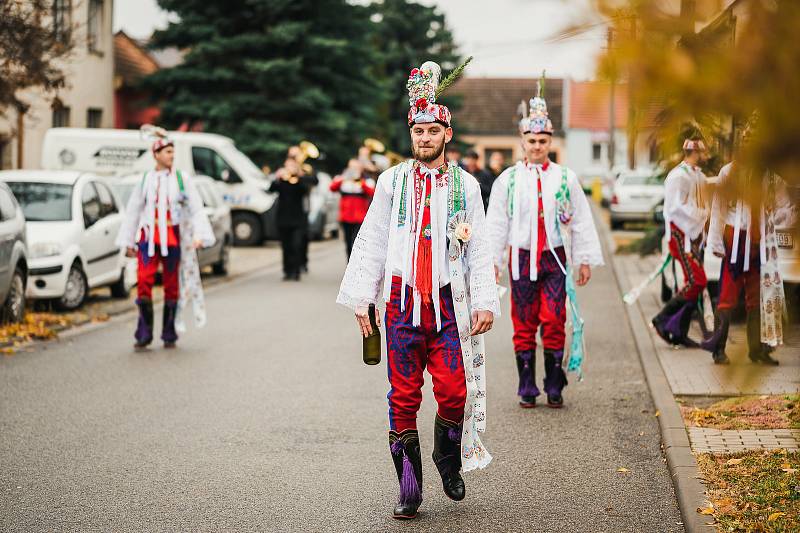 Ohlédnutí za hody ve Staré Břeclavi.