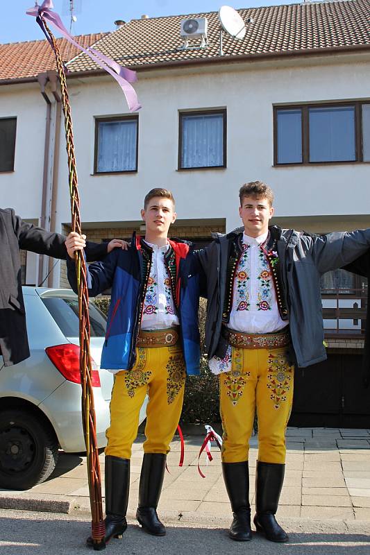 Krojovaná chasa vyrazila v pondělí do ulic Velkých Bílovic s pomlázkou, která měřila více než tři a půl metru.