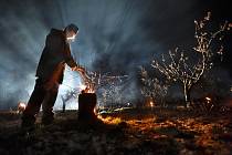 Sadaři na Znojemsku již zapalovali parafínové svíce, aby kvetoucí stromy zachránili. Do sadů se chystají vyrazit i pěstitelé na Břeclavsku.