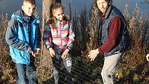 Lanžhotčan Filip Šálek spolu s kolegou a žáky šesté třídy Základní školy Komenského v Břeclavi v úterý oplocovali stromy podél odlehčovacího ramena břeclavské Dyje. Jako ochranu proti bobrovi evropskému.