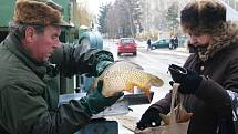 Na snímku je stánek společnosti Rybníkářství Pohořelice v Břeclavi.