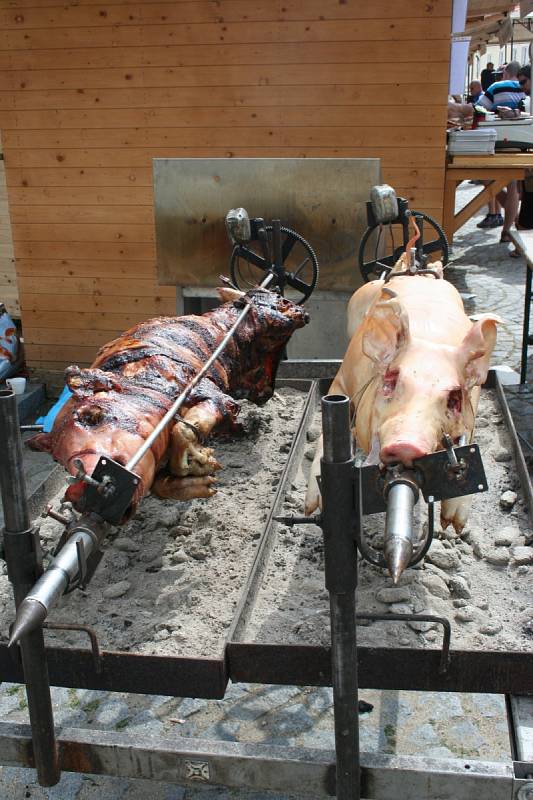 Na víkendový festival navařilo čtrnáct stánků různých kuchyní.