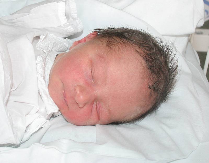 Šimon Húšťava, 8.2.2016, Moravský Svätý Ján, 51 cm, 3,5 kg