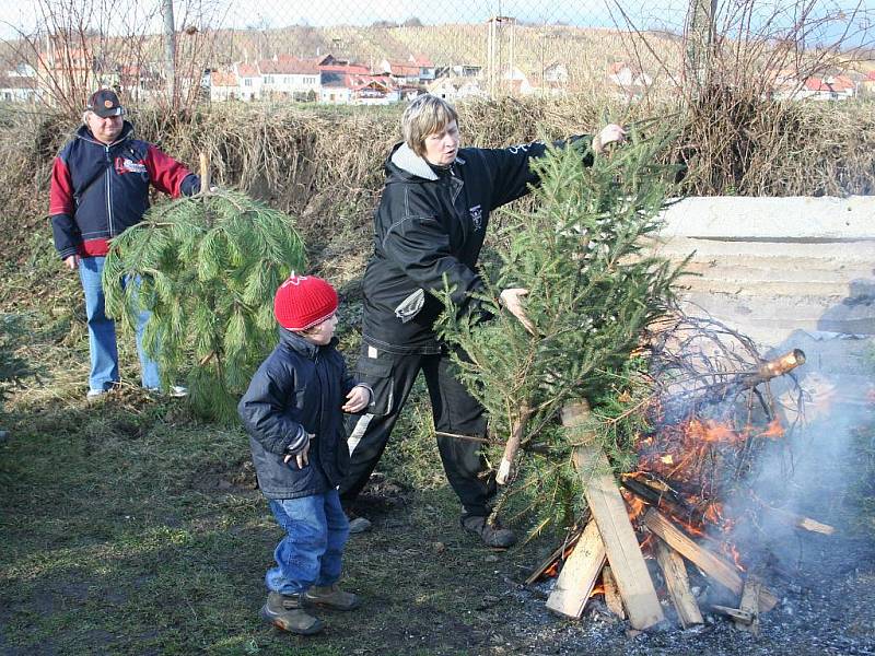 Pálení vánočních stromků v Bořeticích.