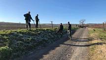 Vinaři ze spolku Dunajovické kopce se ujali výsadby Povidlové aleje, starat se o ni budou se členy mikulovského Okrašlovacího spolku, který výsadbu inicioval. Foto: Helena Prokešová