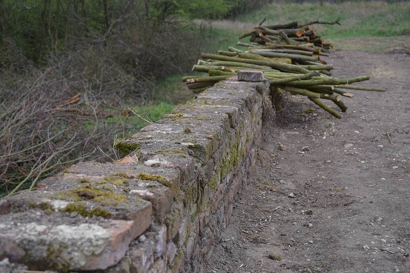 Sedlečtí, Drasenhofenští a Mikulovští se podílejí na rozsáhlém projektu obnovy krajiny v lokalitě zvané Portz Insel