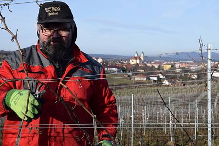 Fotogalerie: Hospodští vyrazili pomáhat do vinohradů na jihu Moravy -  Vyškovský deník