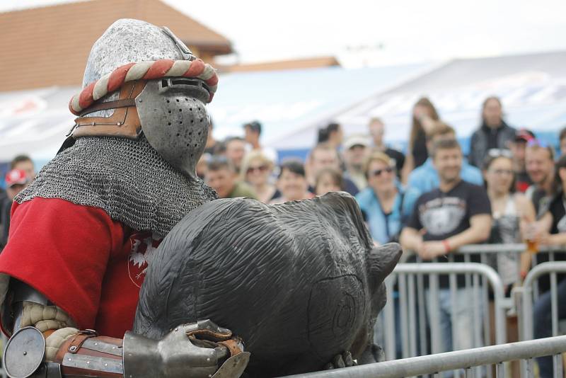 Návštěva Euro Bike Festu v Pasohlávkách nabízí pohled na nevšední motorky i doplňky jezdců. Příchozí si mimo jiné vychutnávají koncerty nebo souboje bijců ve středověké zbroji.