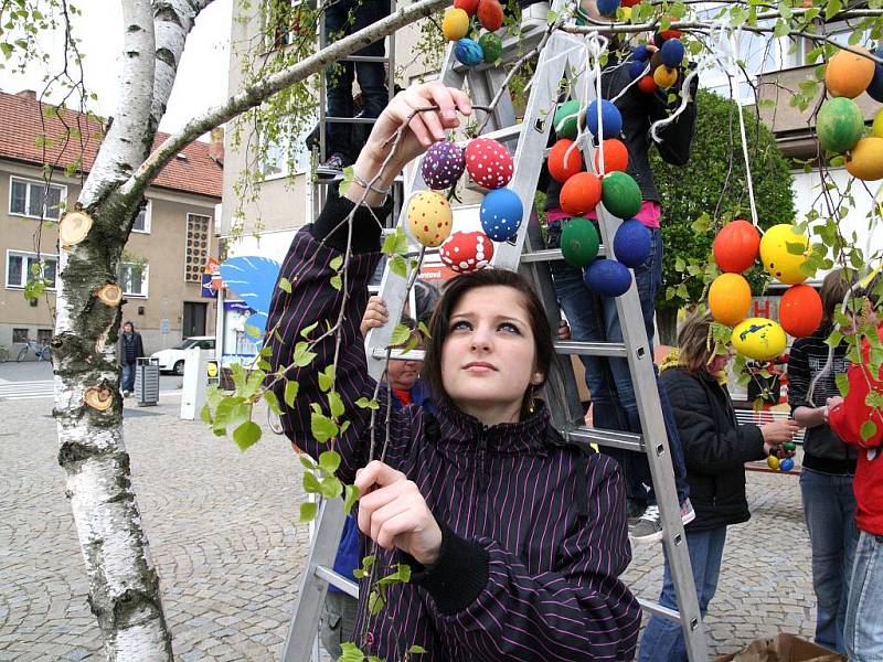 Patnáct set vyfouknutých kraslic visí letos na miroslavském Skořápkovníku