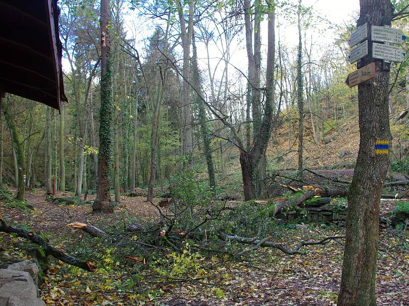 Nedělní vichr poničil ve Znojmě několik stromů v městských parcích a v Gránickém údolí.