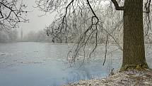 Zimní procházka  přírodní rezervací Karlov a Údolím lásky.