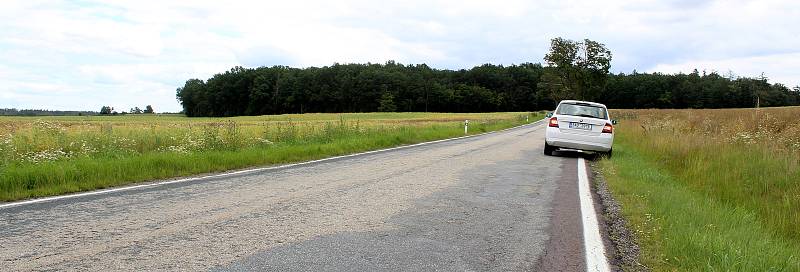 U silnice z Hostimi do Rozkoše vysadí vedení obce společně s místními lidmi padesát ovocných stromků.