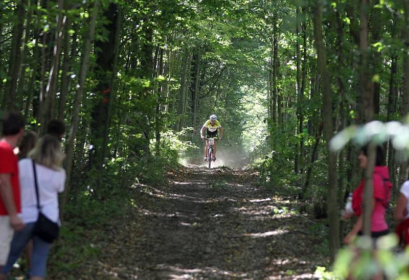 Posedmé závodili cyklisté kolem vranovské přehrady MTB maratonu Vranovská Pohádka Lahofer Author Cup