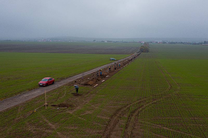 V Šatově zasadili Alej svobody. Foto:Jakub Caha