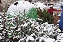 Vánoční stromky dosloužily a od uplynulého víkendu je již lidé nechávají u popelnic na tříděný odpad.