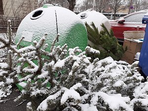 Vánoční stromky dosloužily a od uplynulého víkendu je již lidé nechávají u popelnic na tříděný odpad.