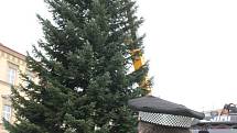 Čtrnáctimetrová jedle z lesa u Ctidružic stojí na Horním náměstí ve Znojmě. 1. listopadu se slavnostně rozsvítí pro dokreslení vánoční atmosféry.