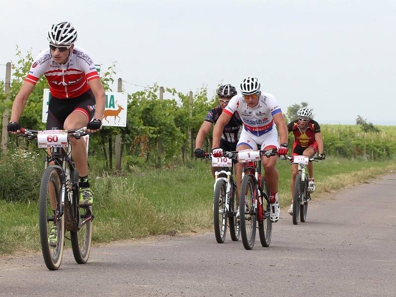 Zejména vinicemi na česko-rakouském pomezí vedl první ročník cyklistického závodu, který startoval v Hatích.