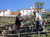 Nově zrekonstruovanou turistickou atrakci nabízí letos milovníkům vína a krásných výhledů do krajiny společnost Lahofer. Lidé mohou navštívit romantický hrádek Lampelberg, který nabízí od začátku června do poloviny září degustaci vína. 
