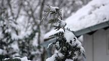 Poslední listopadovou neděli pokryla Trstěnice na Znojemsku sněhová peřina. Bohužel, vzhledem k teplotám nad nulovou, dlouho radost dětem nedělala.