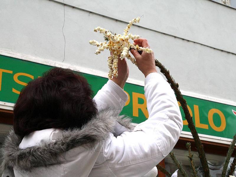 Děti ozdobily stromečky na Obrokové ulici ve Znojmě.