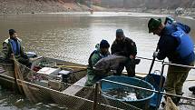 Kvůli čištění dna museli rybáři v Jevišovicích vylovit místní přehradu.