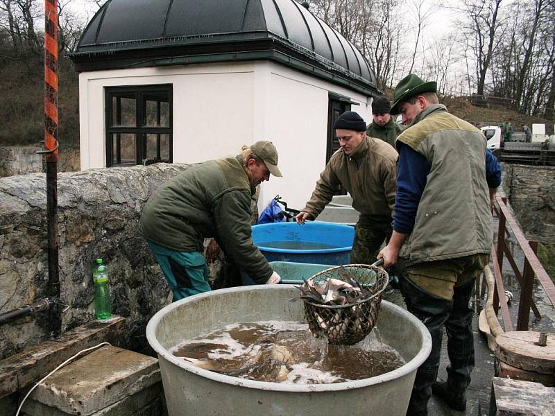 Kvůli čištění dna museli rybáři v Jevišovicích vylovit místní přehradu.