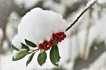 Meteorologové varují, že o víkendu může přijít vydatné sněžení.