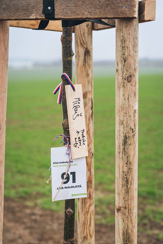 V Šatově zasadili Alej svobody. Foto:Tomáš Kalous